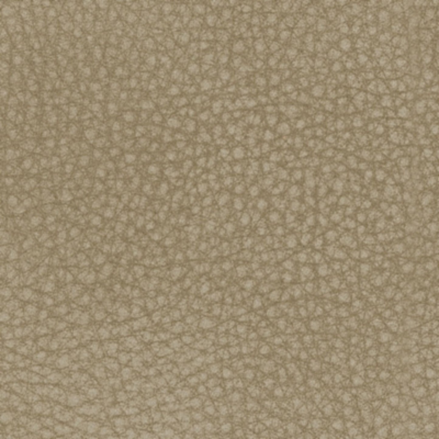 Next Power Reclining Loveseat - Sand
