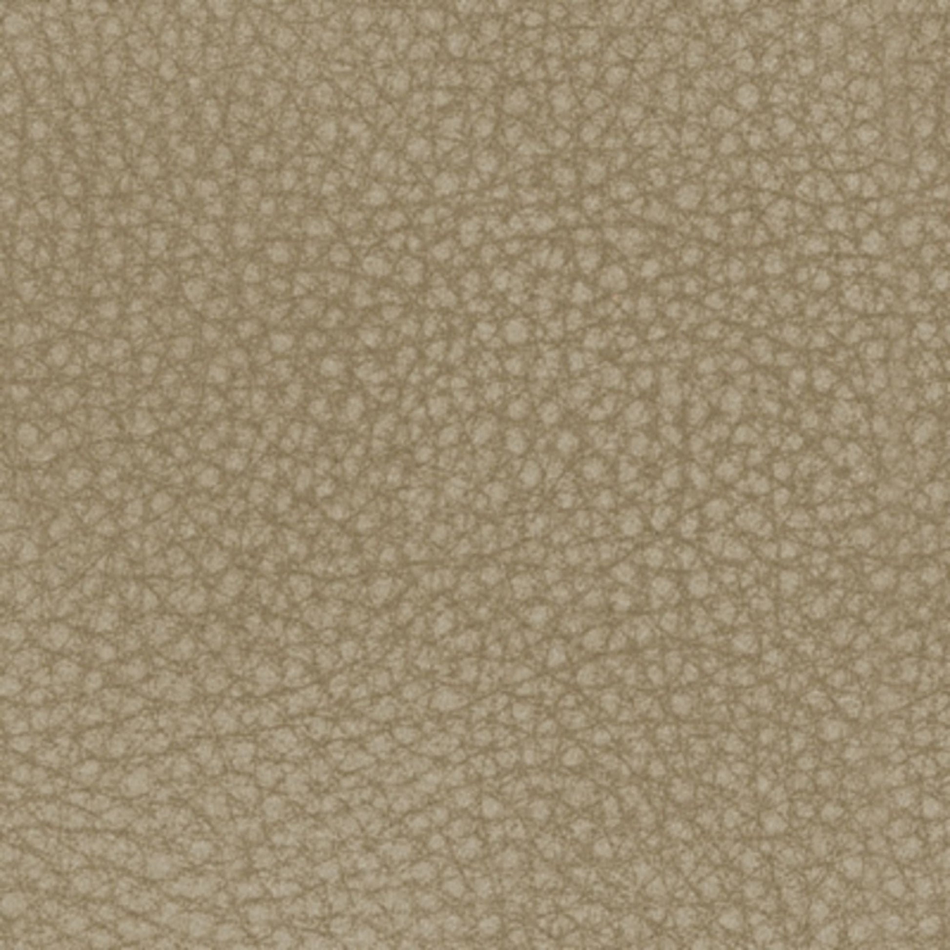 Next Power Reclining Loveseat - Sand