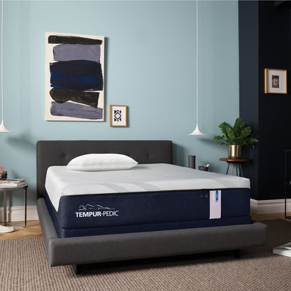 Tempur-Pedic Tempur-Luxe Align Soft Memory Foam 13 inch Mattress