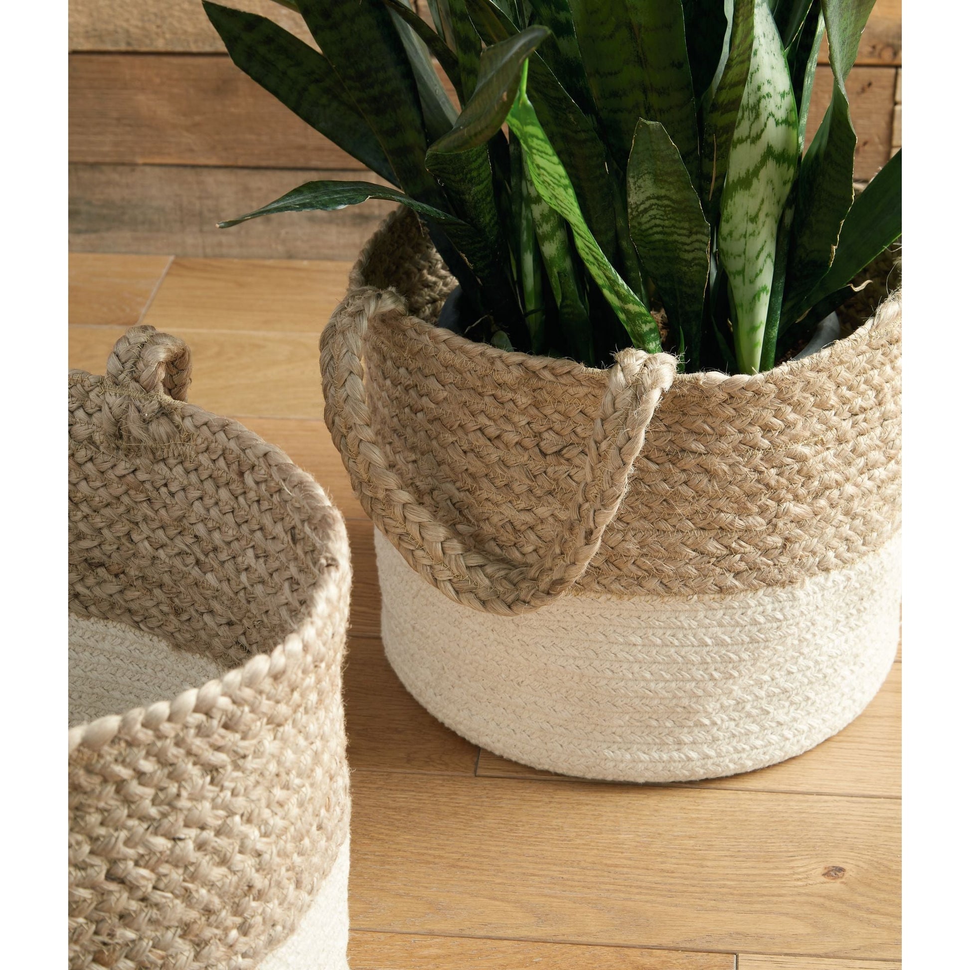 Parrish Basket (Set of 2)