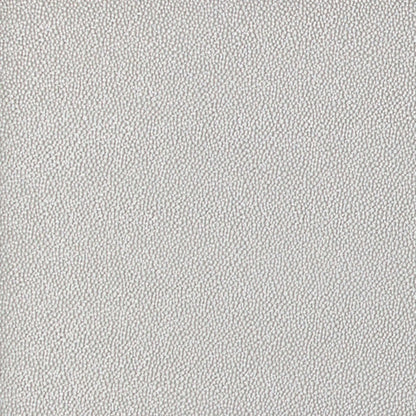 Coralayne Vanity - Silver