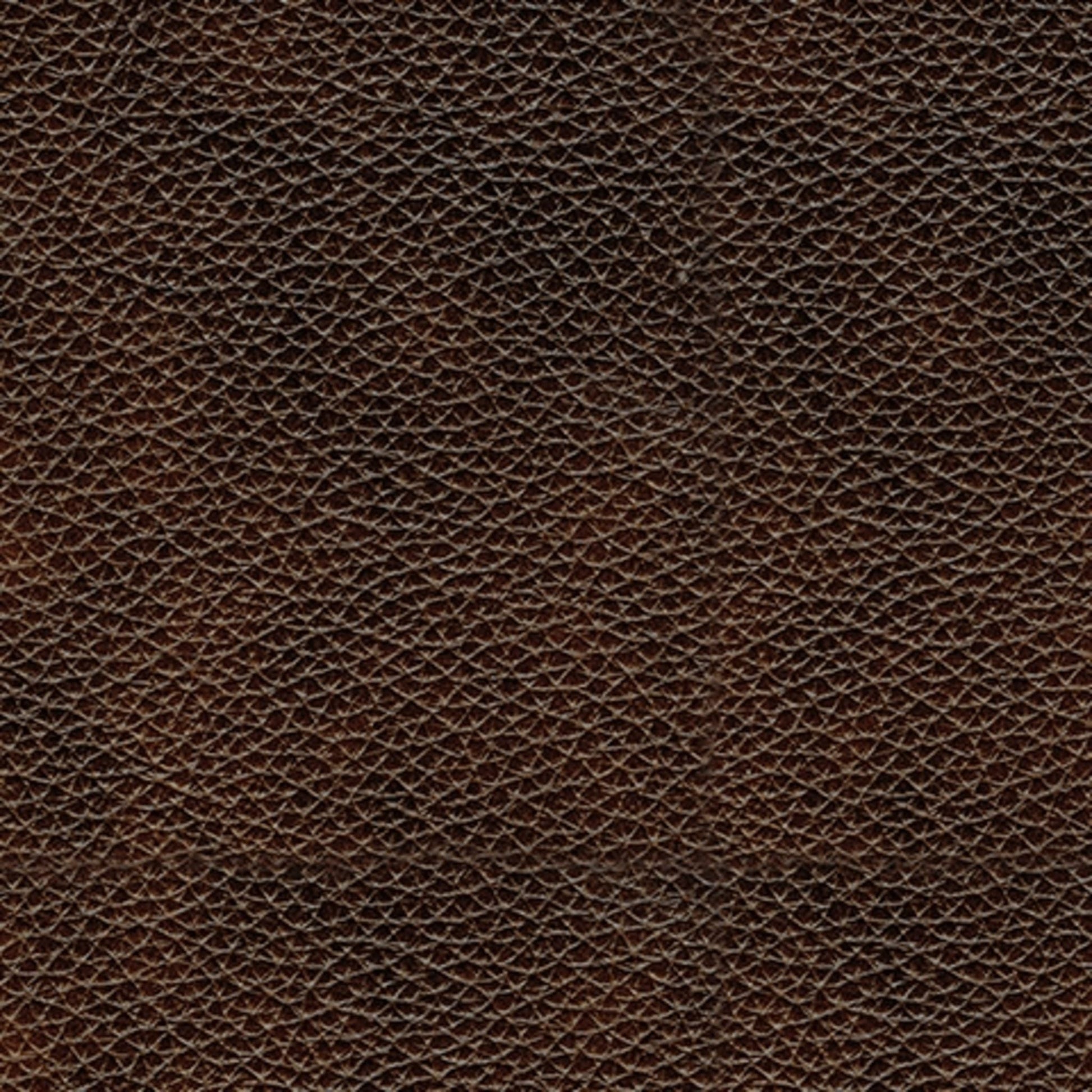 Catanzaro Power Reclining Sofa - Mahogany